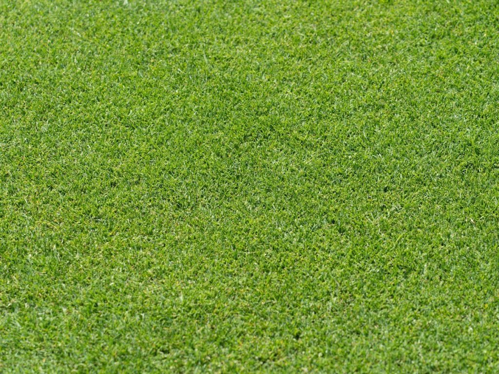 How Grass Yarn & Backing Materials Determine Commercial Artificial Turf Lifespan