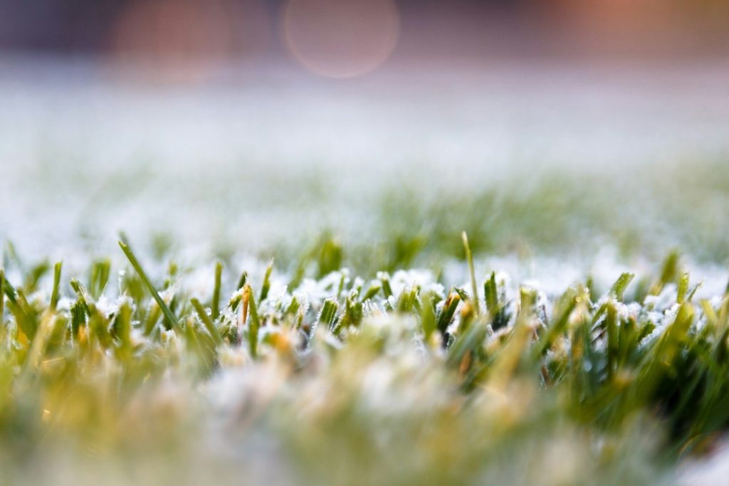 Winter Snow Removal Best Practices for Artificial Turf