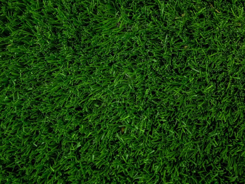 Choosing Synthetic Turf Infill: Sand, Rubber & Eco Options