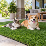 Pets
