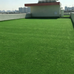 view 6