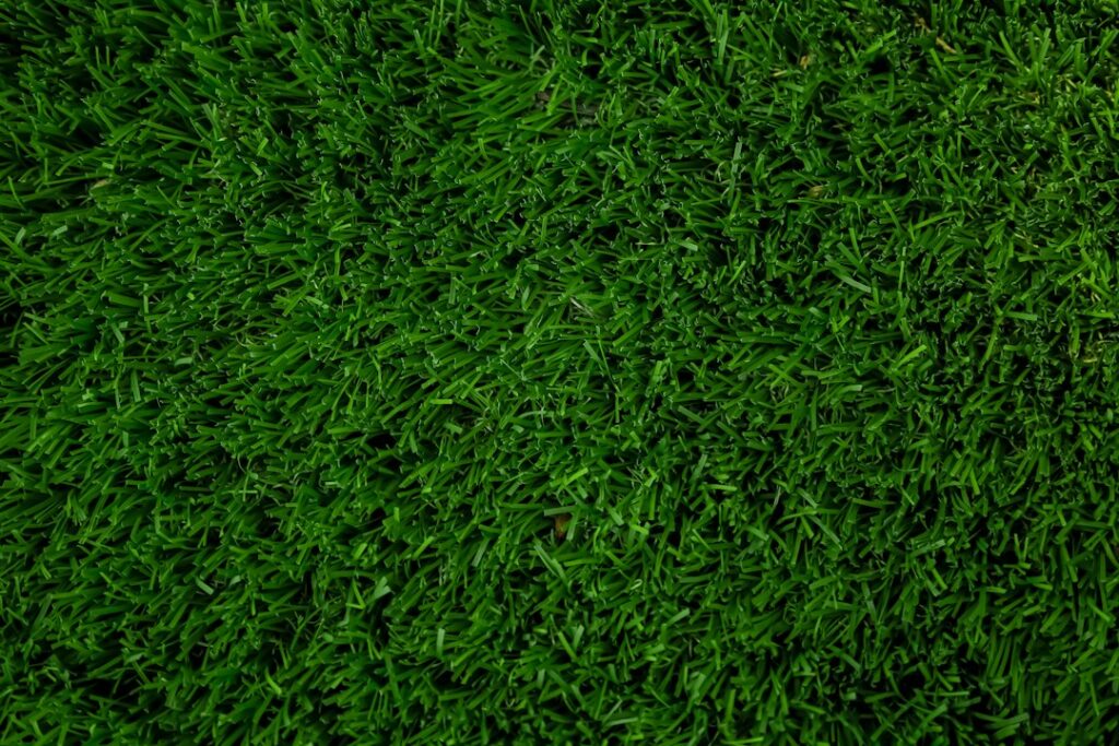 Artificial Grass vs Natural Lawn: Total Cost of Ownership