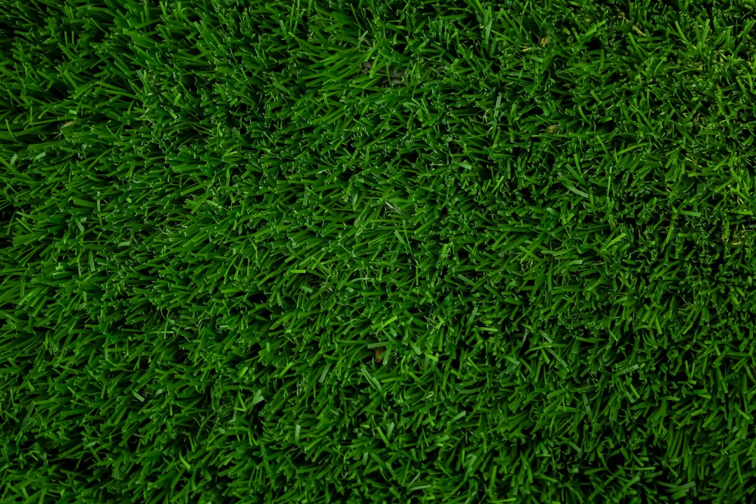 Golf Green Turf for Backyard Putting & Commercial Golf Training