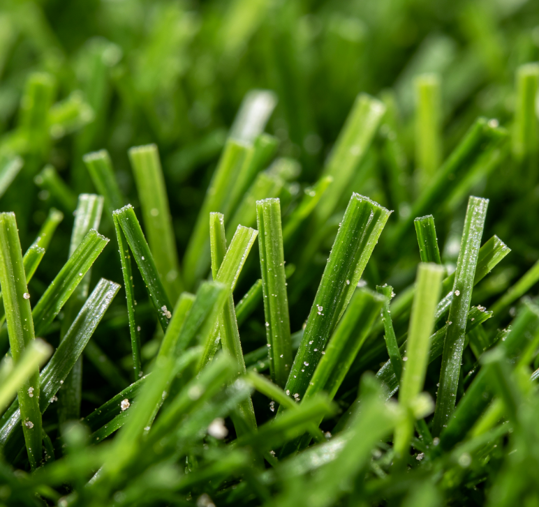 Leisure Artificial Turf Compact Short Synthetic Grass for Clean Landscape Design