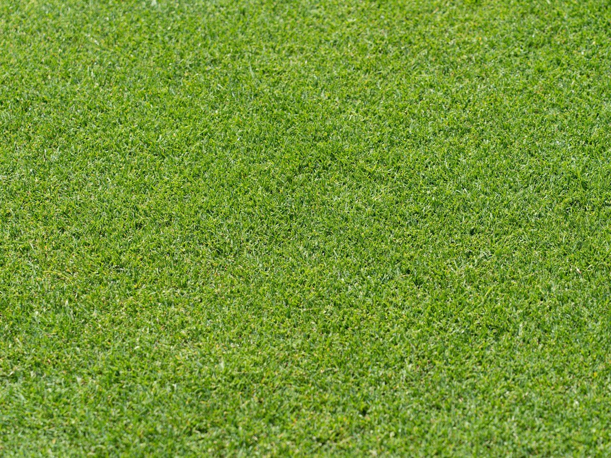 Leisure Artificial Grass for Garden Backyard and Outdoor Relaxation Areas
