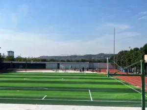10000D Football Grass Artificial Turf for Sports Park Project Stadium Sports Playground