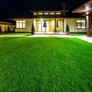 20-50mm Synthetic Artificial Grass Turf for Outdoor Sports and Garden