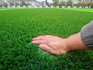 20mm Pile Artificial Grass Turf with PP+NET Backing and SBR Coating for Kindergartens, Yards, and Playgrounds