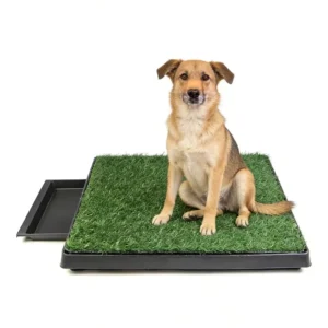 3 Layers Pet Potty Training System Dog Potty Tray Toilet Plastic Grass Mat for Dog Litter Box Dog Potty Toilet with Drainage
