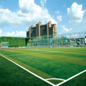 30MM 40MM 50MM 60MM Soft Fireproof Polyethylene Sports Artificial Grass Green Shock Absorption