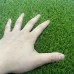 view 1