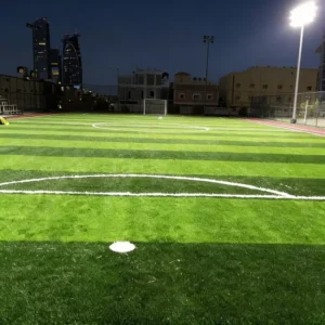 UV-Resistant Fireproof High-Density Artificial Grass for Outdoor Landscaping and Pet Training