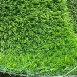 view 1