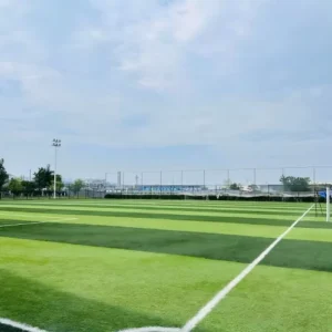 40-60mm Soft Artificial Grass Turf for Indoor/Outdoor Football and Soccer Fields, Thick Pile