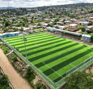 40mm 50mm PE Soccer Grass Artificial Football Turf for Football Pitch, Gym, and School