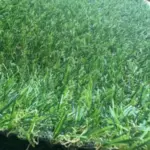 view 1
