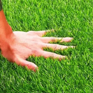 40mm Landscape Artificial Grass Turf for Football Outdoor Use