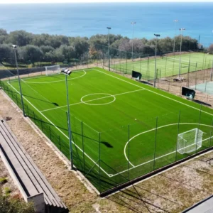 50mm 100% PE Outdoor Futsal Artificial Grass for Sports Flooring and Football Turf