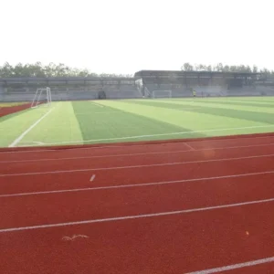 50mm 60mm Anti-Static Football Artificial Grass with Monofilament and Curly Yarn Sports Turf for School and Community Soccer Fields