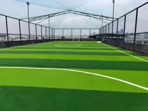 50mm Pile Wear-Resistant Plastic Artificial Grass for Outdoor Football Field and Stadium Construction