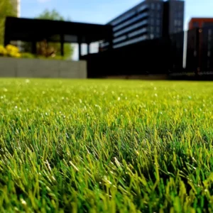 Artificial Grass 30mm Astro Garden Realistic Natural Turf Fake Lawn
