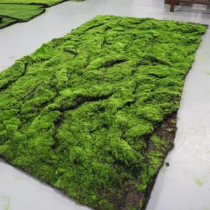 Artificial Grass Carpet Eco Friendly Modern Art Design Faux Plant Ornamental for Easter Wedding Outdoor Football Field