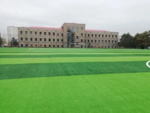Artificial Grass Infill Granules for Football Fields Soccer Turf and Landscaping Application Football Pitch Soccer Field
