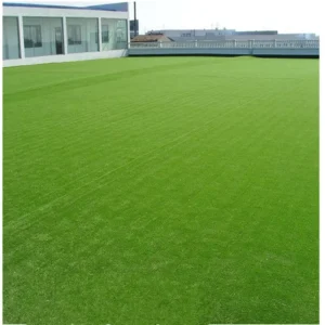 Artificial Grass Turf Carpet for Wall Decoration and Construction