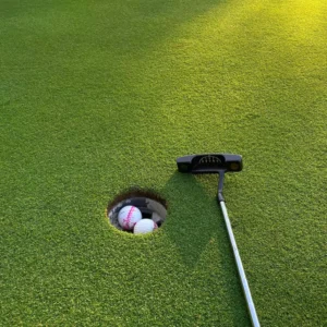 Artificial Turf Grass Carpet for Sports, Golf and Putting Green