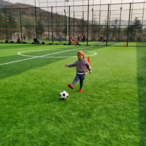 Artificial Turf Grass for Garden Landscaping, Leisure Areas, Football Fields, and Sports Courts