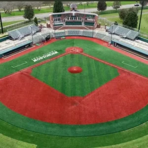 CE Certified Durable Synthetic Artificial Turf Grass for Baseball Soccer Football Futsal Outdoor Sports Field