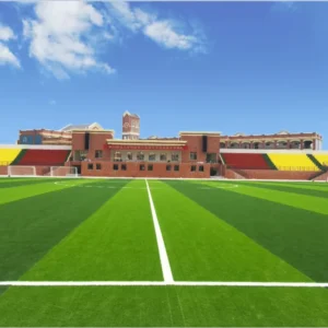 CHINEE 50 60mm Football Field Soccer Field Artificial Grass
