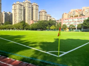 CHINEE 50MM DM145 13200Dtex HIGHEST QUALITY FOOTBALL GRASS GAZON DE FOOTBALL