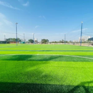 CHINEE 50mm 60mm Football Field Artificial Grass Football Artificial Grass Soccer Field