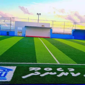CHINEE 50mm Mini Soccer Artificial Grass Sports Synthetic Turf