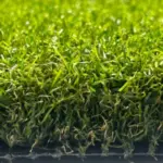 Landscape Grass