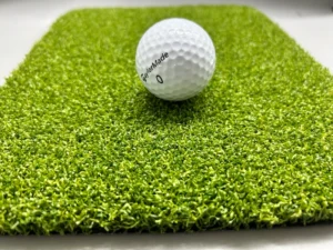 CHINEE Artificial Golf Grass Putting Green Mini Golf Family Golf Court