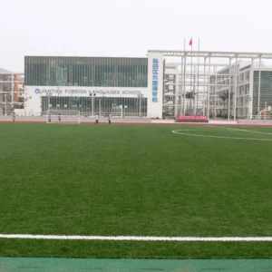 CHINEE Cricket Filed Artificial Grass Indoor and Outdoor Cricket Pitches Hockey Latex Sport Club