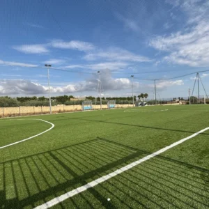 CHINEE FI FA Certified Artificial Grass for Football Field UV Resistant Sand Filled Non Fill Custom Sizes