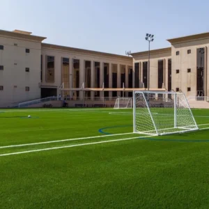 CHINEE Football Artificial Grass Carpet & Sports Flooring Turf for Football