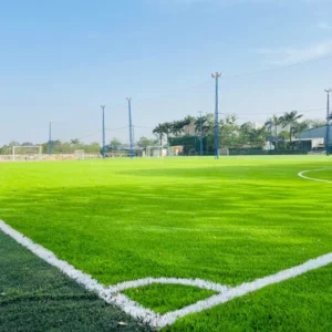 CHINEE New Models in United States Market Housing Decoration Turf Chinese Good Factory Artificial Grass Prices Artificial Mat Turf