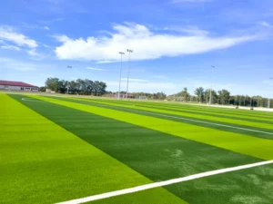 CHINEE Non Infill Multi Sports Artificial Grass