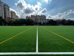 CHINEE Professional Synthetic Sports Turf for Multi Purpose Sports Field