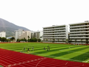 CHINEE Trusted by Multiple Schools for Football Fields Artificial Turf