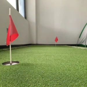 Custom Fake Grass Products Putting Green Golf Mat