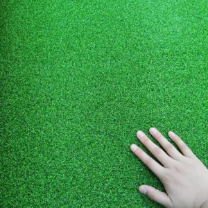 Customized Artificial Grass for Football Fields and Leisure Areas
