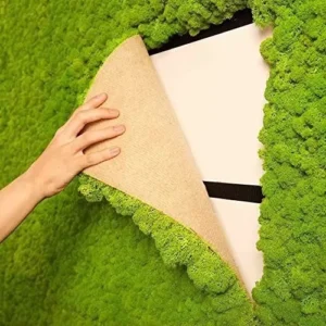 Customized Indoor Green Artificial Stable Moss Wall for Decoration