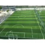 Playground Turf