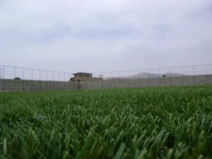 Double Screened Artificial Turf Infill Granules for Football Pitch Soccer Field and Astro Turf Systems