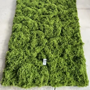 EG J091 1m*2m DIY Artificial Moss Wall Garden Landscape Wall Decor Artificial Green Plant Moss